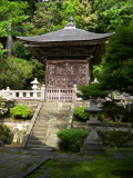 Wooden pavilion