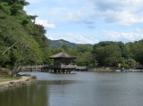 Small lake in the park