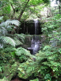 Petite cascade dans la jungle