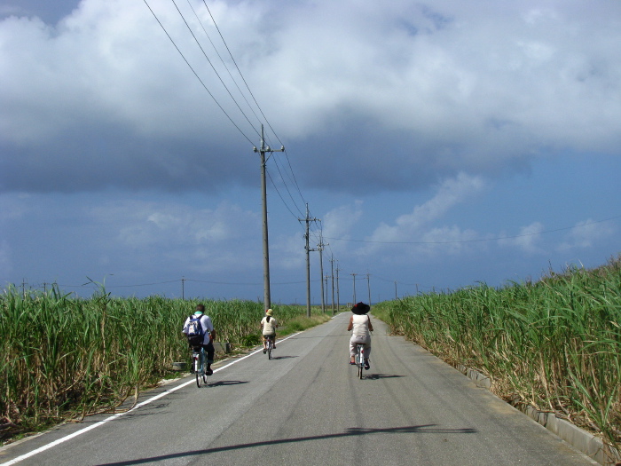 Promenade en vélo