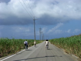 Bicycle ride