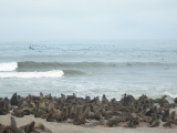 Cape Cross