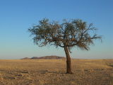 Namib