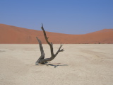 Dead Vlei