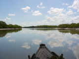 Sunderban