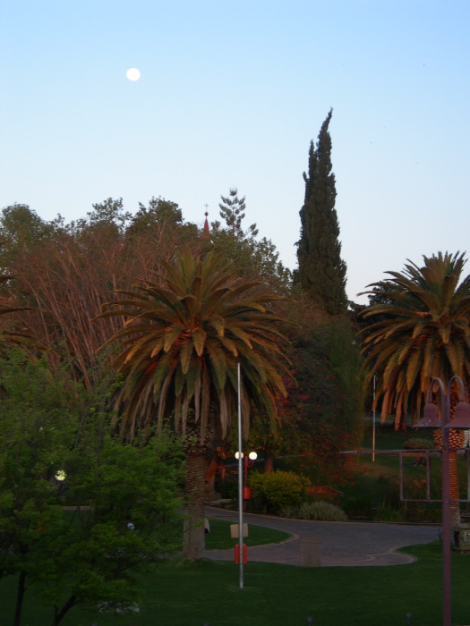 Parc near the city centre