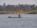 A paddler