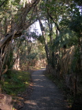 Path around the falls