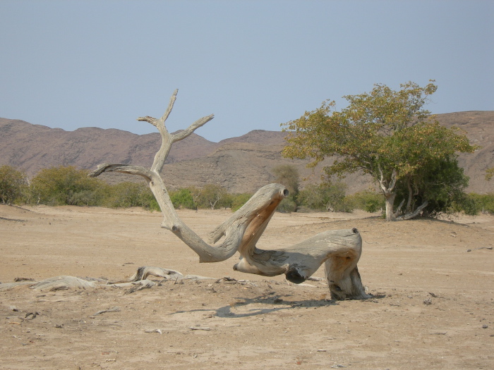 Dead tree