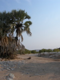 Dry bed of the Hoanib River