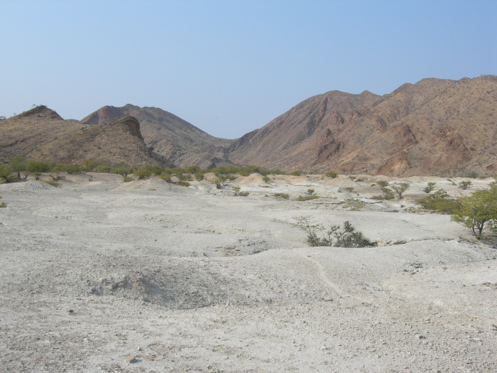 Petites dunes rocheuses