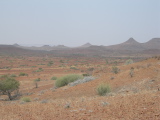 Palwag Plain