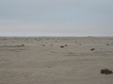 Paysage autour de Cape Cross