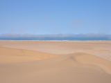 Sand dunes at the sea bank
