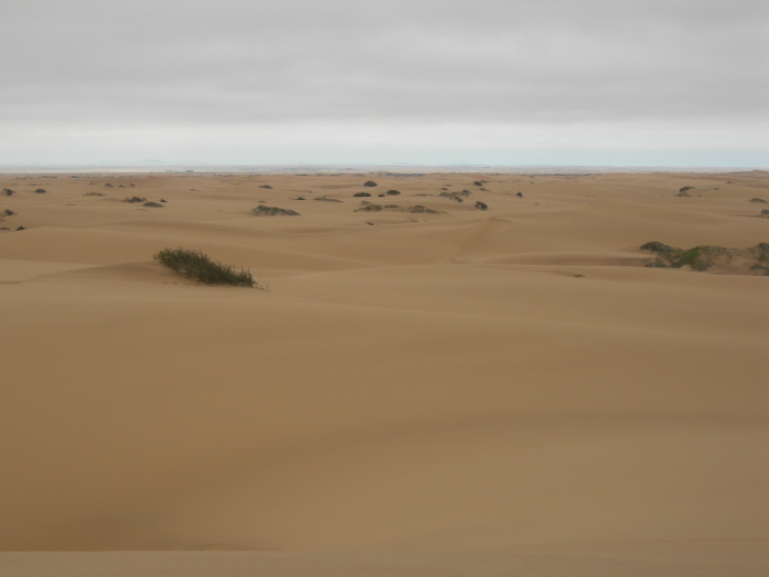 Sand dunes