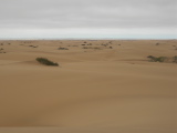 Dunes de sable