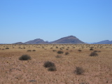 Paysage à l'extérieur du canyon