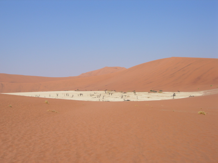 View on Dead Vlei