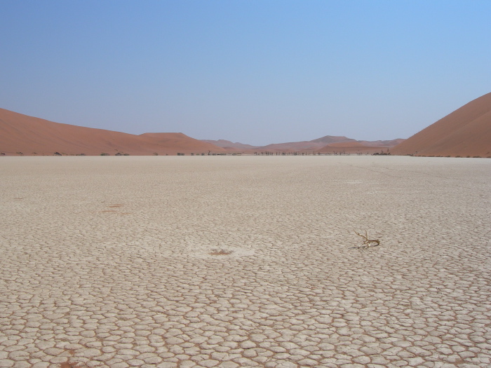 Cracked ground of Dead Vlei