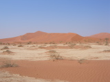 Sol argileux de Sossusvlei