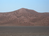 Dune recouverte d'arbustes près de Sesriem
