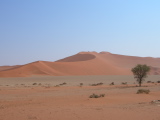 La dune 17  à l'entrée de Sossusvlei