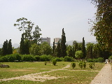 A public garden