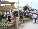 The vegetable market